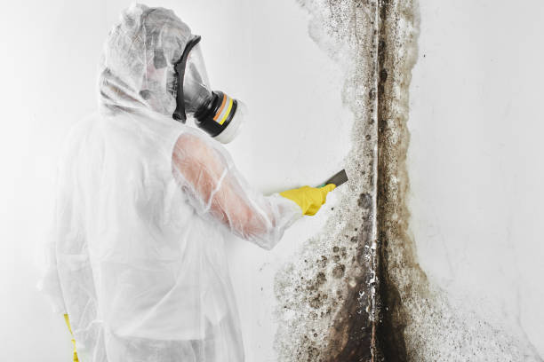 Water Damage Restoration in Dunnavant, AL