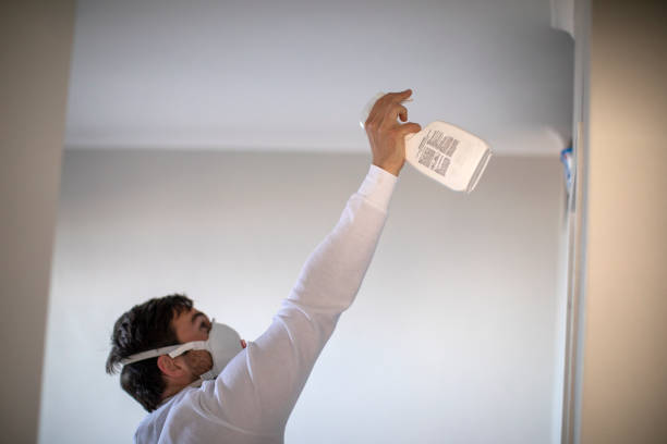 Best Black Mold Removal  in Dunnavant, AL