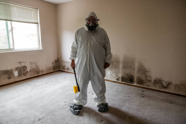 Best Toxic Mold Removal  in Dunnavant, AL