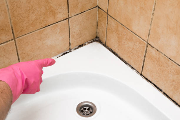 Best Residential Mold Removal  in Dunnavant, AL